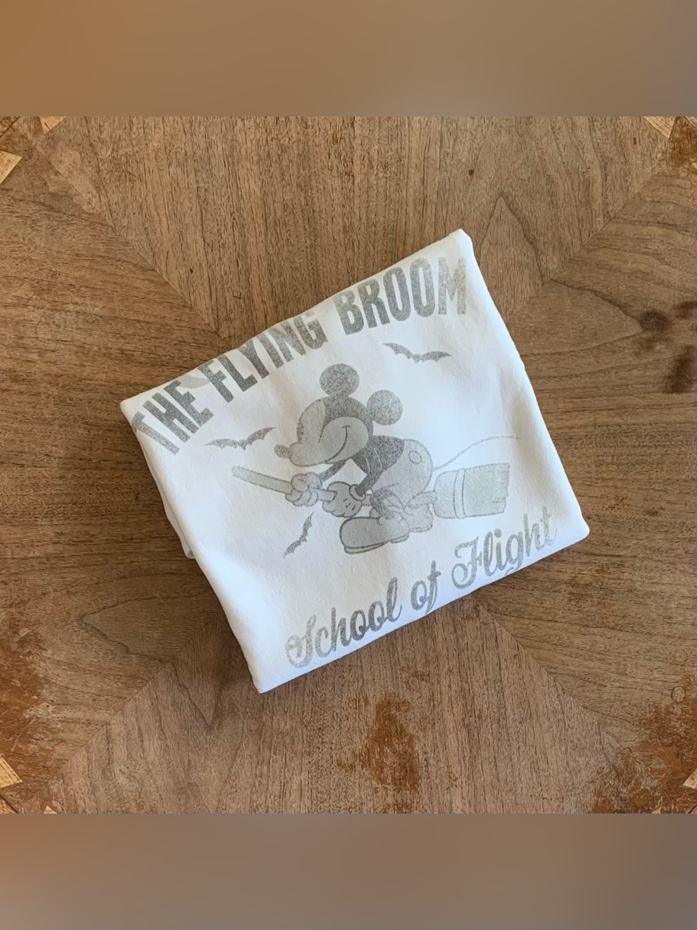 AE Mickey School of Flight Crewneck